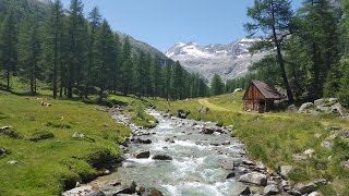 Barmer Hütte 2610m  Defereggental [upl. by Nivag454]