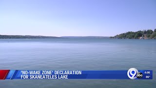 Skaneateles lake made a nowakezone [upl. by Joerg39]