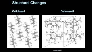 Mercerization for cotton Effects and Properties [upl. by Enyamert]