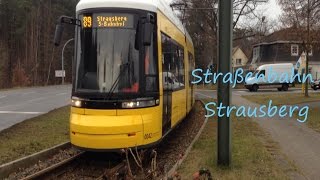 🚃 Straßenbahn Strausberg Tramway Strausberg [upl. by Eneri298]