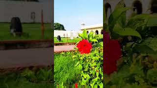 Rang Mahal  Lal quila Delhi trendingonshorts travel shorts [upl. by Ahsotal]