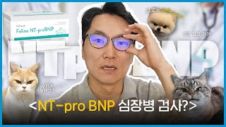 NTproBNP 검사 왜 심장병일 때 할까👨🏻‍⚕️｜검사 비용이 부담된다면｜심장병 검사｜심장초음파｜Troponin I검사란💙 [upl. by Gow471]