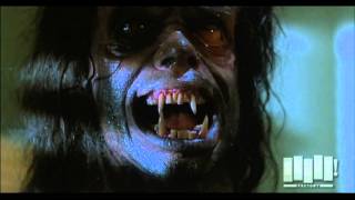 Werewolf transformation  The Howling 1981 [upl. by Ursuline]