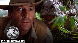 Jurassic Park  “Clever Girl” Muldoon Is Eaten by a Velociraptor Edited [upl. by Othilia]