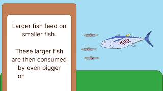 Bioaccumulation How Pollutants Affect Organisms and Their Environmentquot 🌍🐟 [upl. by Mandelbaum437]