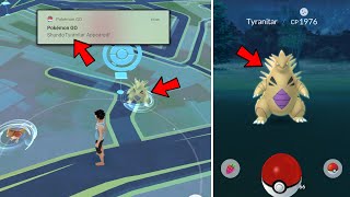 How to Catch Shiny Tyranitar in Pokemon Go  Pokemon Go Best Way to Catch Shiny Tyranitar [upl. by Ahsytal]