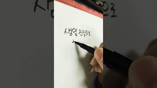 생일손글씨 캘리그라피 caligraphy 한글 korea korealanguage koreasentence 글씨 corée 韓国 corea 붓글씨 [upl. by Okun]