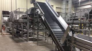 Green bean processing and packing line [upl. by Dall]