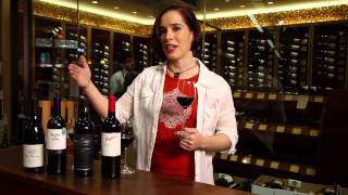 Pinot Noir Merlot Cabernet Sauvignon Shiraz Syrah  Red Wine Guide [upl. by Gamages363]