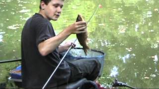 Catching carp on the pole and method feeder [upl. by Asenab474]