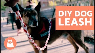 DIY Rope Dog Leash  VERY EASY [upl. by Oinotla687]