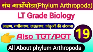 phylum arthropoda characteristics classification examples  lt grade biology  tgt biology classes [upl. by Ive]