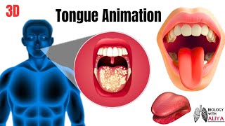 tongue animation  medical 3d animation  BiologywithAliya [upl. by Otsirc417]