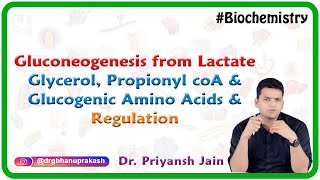 Gluconeogenesis from lactate glycerol propionyl coA and glucogenic amino acids and Regulation [upl. by Jarrad]