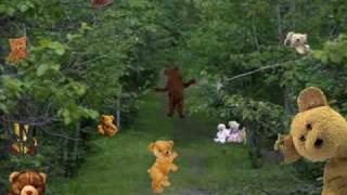 Teddy Bears Picnic  sung by Anne Murray [upl. by Fariss368]