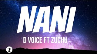 D Voice  Nani ft Zuchu lyrics [upl. by Dominus]