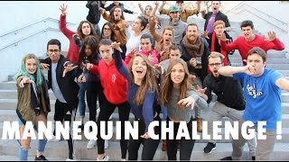 BEST MANNEQUIN CHALLENGE IN PUBLIC   MannequinChallenge [upl. by Oidgime668]