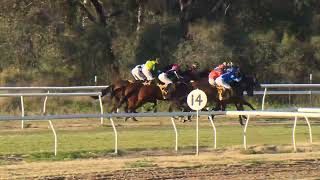 Goondiwindi 20240720 Race 5 [upl. by Notrub]