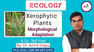 Morphological Adaptation in Xerophyte plants आकारिकी अनुकूलन DrAmrit Daiya 480p [upl. by Ivana]