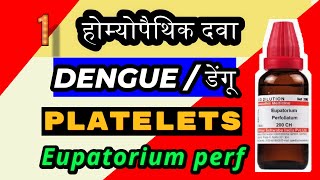 Eupatorium perfoliatum 200 for dengue  Eupatorium perf 200 for platelets count  dengue [upl. by Nodyroc]