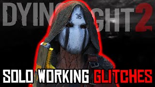 Dying Light 2 Working Solo Glitches Patch 118 [upl. by Eicnan496]