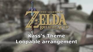 Zelda Breath of the Wild  Kasss Theme [upl. by Ihdin]