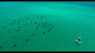 Narrated Tour of Grayton Beach State Park Campground [upl. by Sly940]