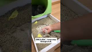 Cat litter china supplier Mineral cat litter wholesale Cat litter factory price cat petcare [upl. by Edahs]