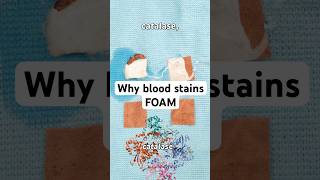 Why Does Blood Foam stainremoval science STEM [upl. by Ninaj]