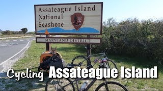 Cycling Assateague Island [upl. by Hairabez253]