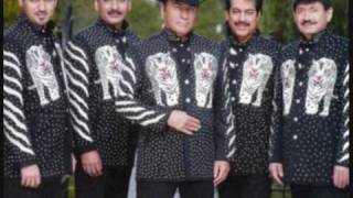 Los tigres del norte La mesa del rincón Lyrics [upl. by Cappella]