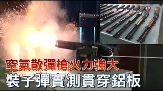 填火藥成散槍彈 空氣槍CAM870需繳回  台灣蘋果日報 [upl. by Sirej]