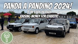 Panda A Pandino 2024 800 Fiat Pandas in One Place [upl. by Ybbed]