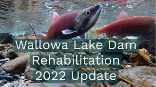 Wallowa Lake Dam Rehabilitation Update 2022 [upl. by Kcirtemed]