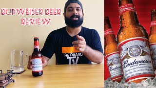 Budweiser Lager Beer Review l Thirsty Thursday budweiser [upl. by Nnylatsyrc813]