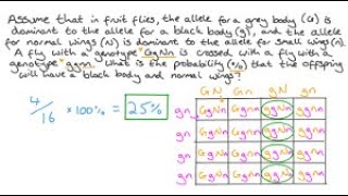 Linkage and crossing over XII biology Sindh board [upl. by Neesay]