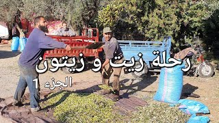 رحلة زيت و زيتون الجزء الأول من واد الجديدة إلى سيدي عبد الله بن تاعزيزت [upl. by Xena]