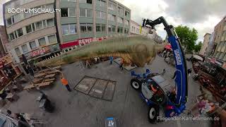 🦖 Dinosaurier in Bochum 🦕 Montage vom Diplodocus [upl. by Samy748]