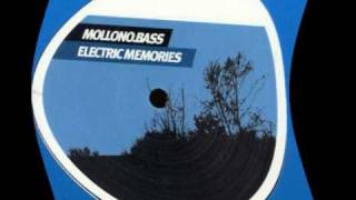 MollonoBass  Endless Summer Marlose EuphoRiemix [upl. by Wiltsey543]