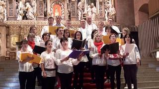 quotVenid y vamos todosquot cantado por coros de Rumanía en el santuario de Torreciudad [upl. by Foss474]