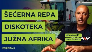 KRALJICA šećerna repa i Mile Ostojić CAR  Agro Priče EP 6 [upl. by Neetsuj122]