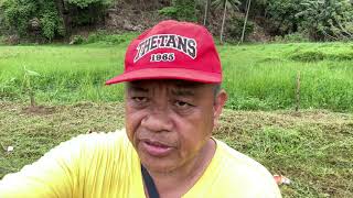 Planting my BreadFruit Tree Seedlings December 16 2020 [upl. by Licko]