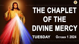 Chaplet of the Divine Mercy I Tuesday October 1 2024 I Divine Mercy Prayer I 1200 PM [upl. by Tebor394]