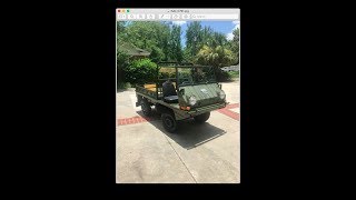 Steyr Puch Haflinger  SOLD [upl. by Ahsika389]