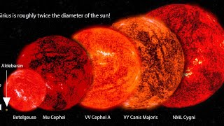 Umiverse size comparison zoom out [upl. by Yorker]