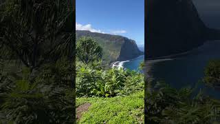 Waipio Valley the Garden of Eden as explained by Kaleo Kai [upl. by Shull]