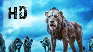 Simba Vs hyenas Epic fight scene 2019  The Lion king 2019 [upl. by Seabrooke522]