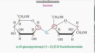 Identifying anomeric carbons in sugars [upl. by Kokaras945]