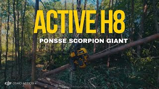 Ponsse  Active H8  Pine [upl. by Nitsuga]