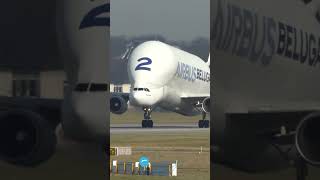 Airbus BELUGA Takeoff [upl. by Leia]